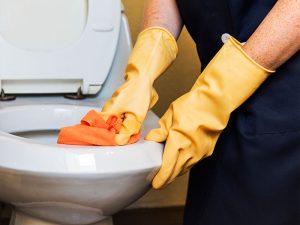 How-to-Deep-Clean-a-Toilet!